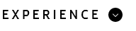 Experience