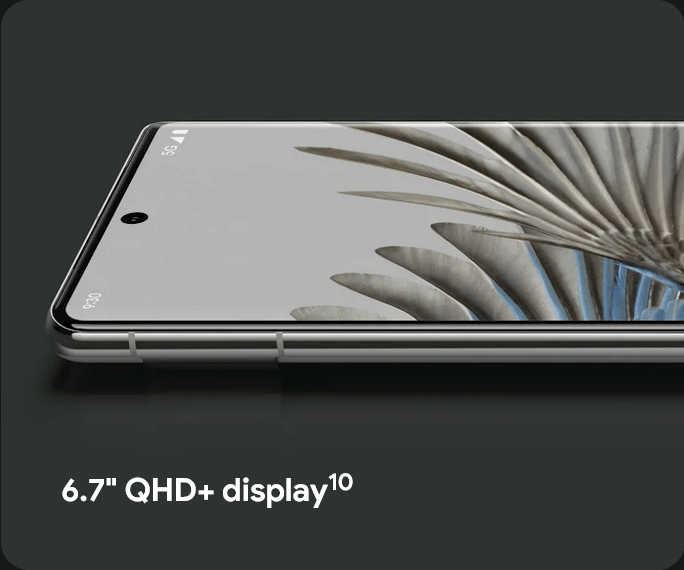  6.7″ QHD+ display