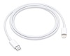 USB-C to Lightning Cable